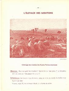 GEO CE1 CE2 DES ANNEES 50 PAGE (66)